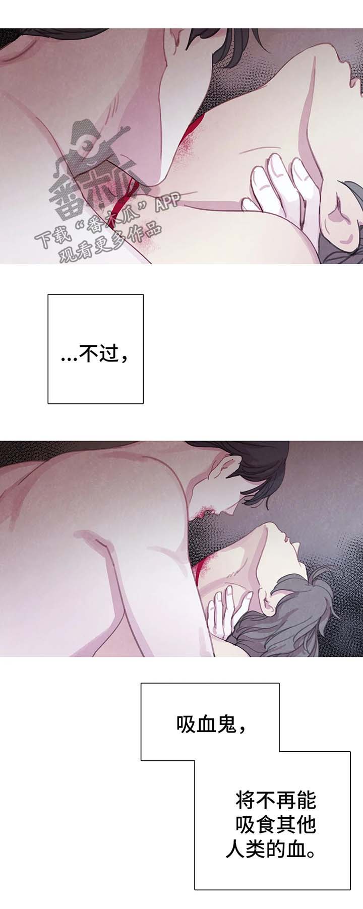 与血族共生漫画,第32章：契约4图