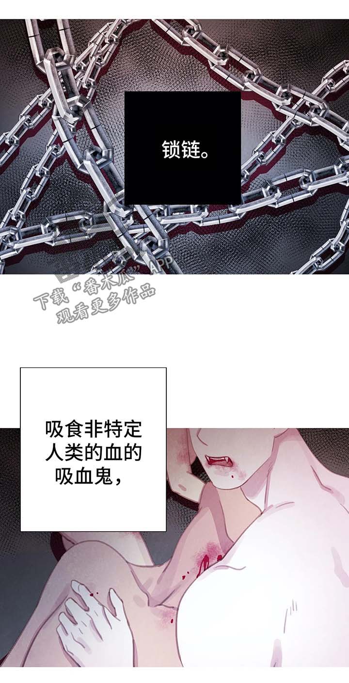 与血族共生漫画,第32章：契约1图