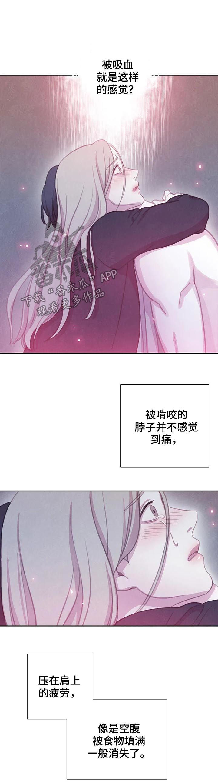 与血族共生漫画,第92章：【第二季】已经晚了3图