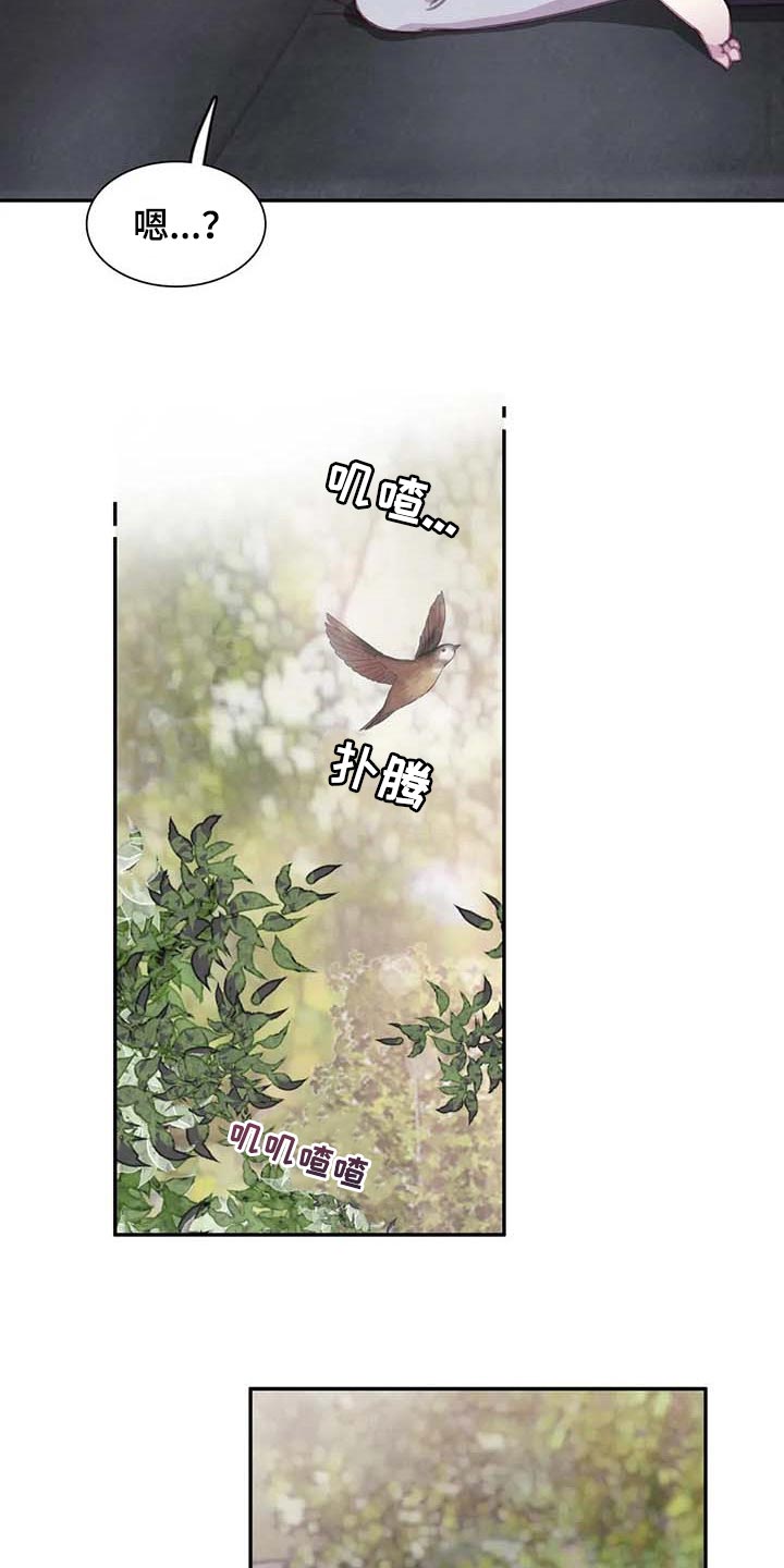 与血族共生讲的什么漫画,第149章：【番外】最可怕的威胁3图