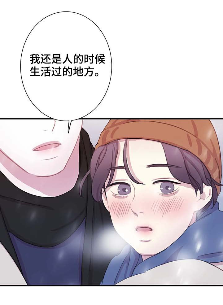 与血族共生漫画,第54章：全都被斩首1图