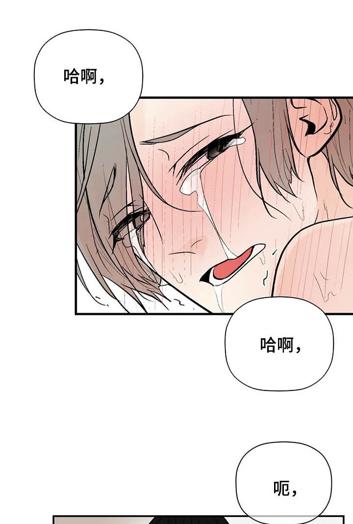 劣质的他漫画免费全集漫画,第91章：伴侣1图