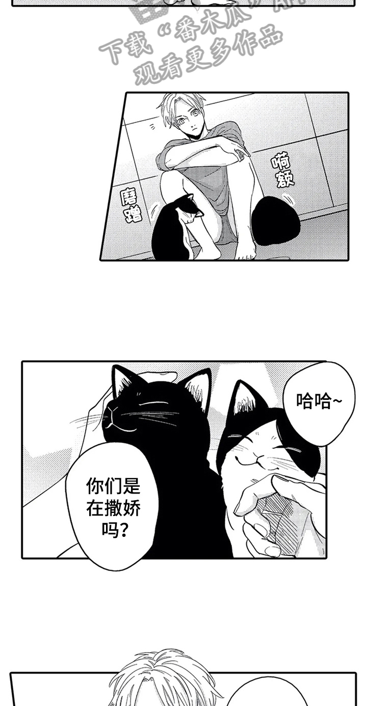 经纪人津贴漫画,第26章：安排2图