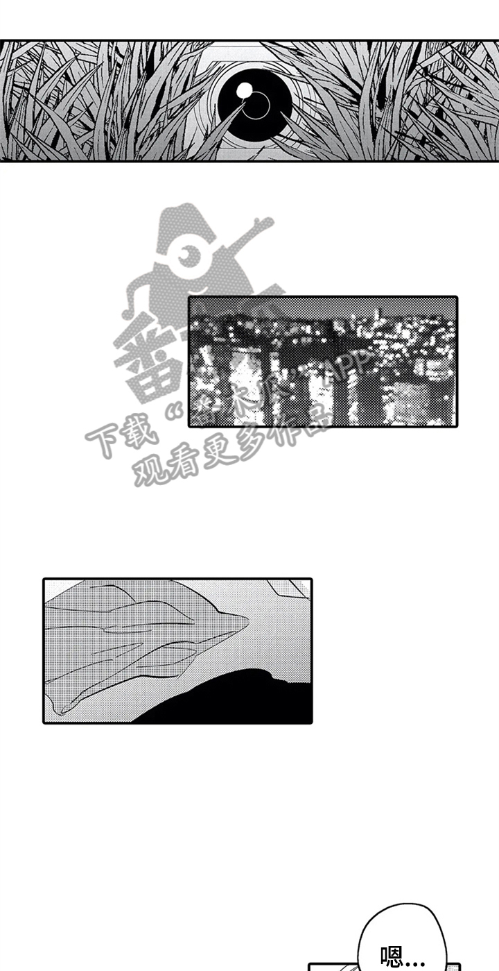 经纪人津贴漫画,第25章：偷拍5图