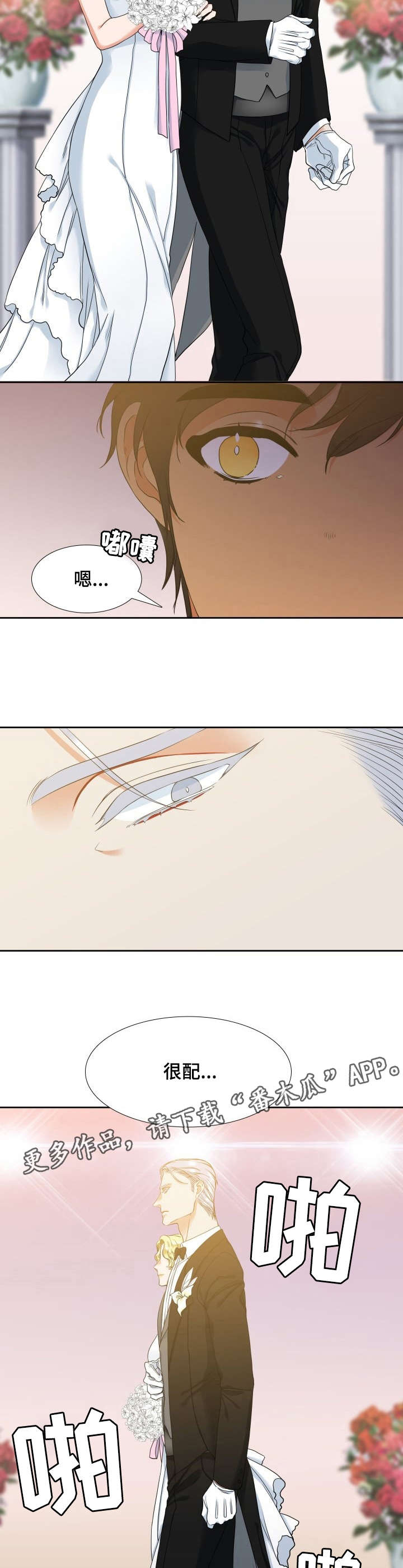 候鸟漫画,第52章：婚礼4图