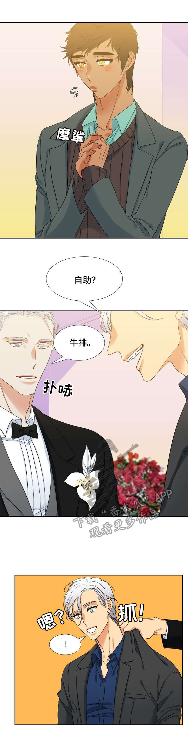 候鸟漫画,第52章：婚礼1图