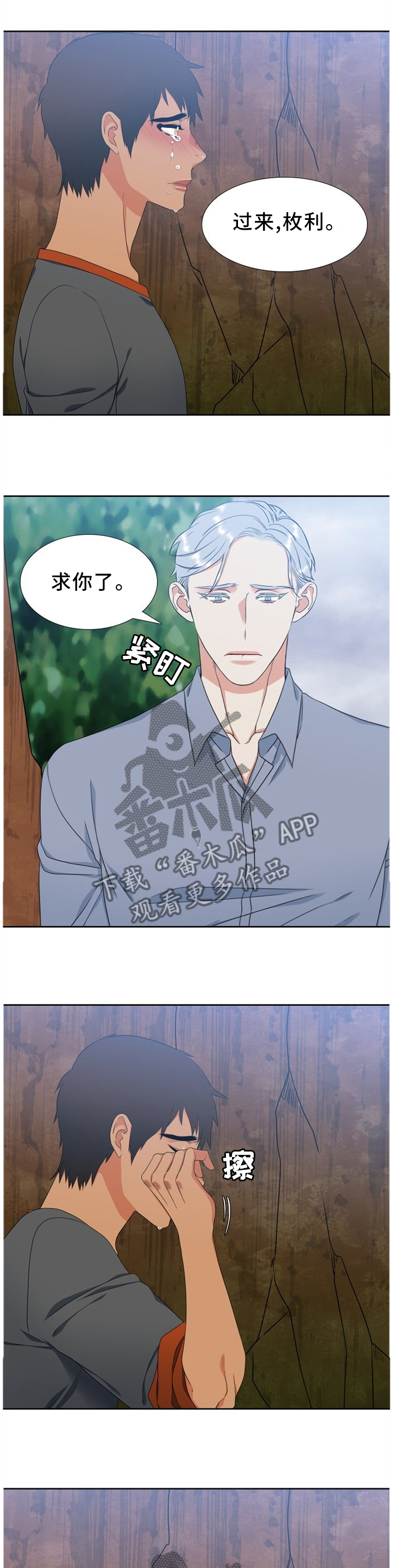 候鸟漫画,第231章：【第二季】我爱你1图