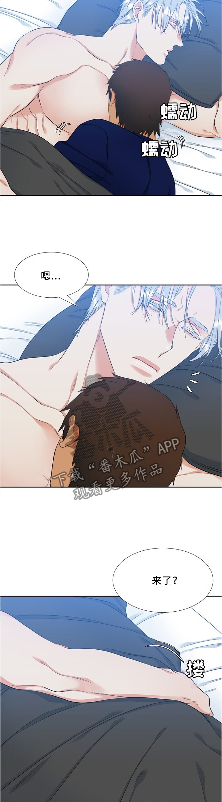 候鸟漫画,第105章：一直陪伴3图