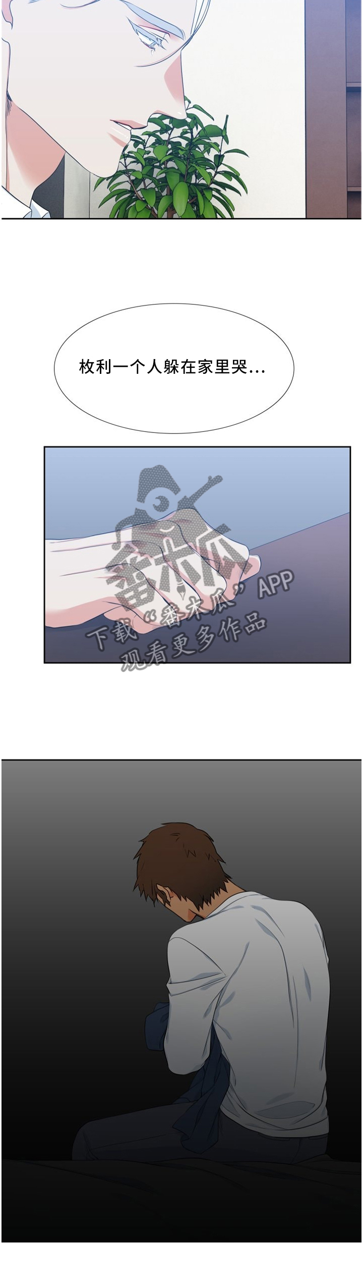 候鸟漫画,第165章：爆料1图
