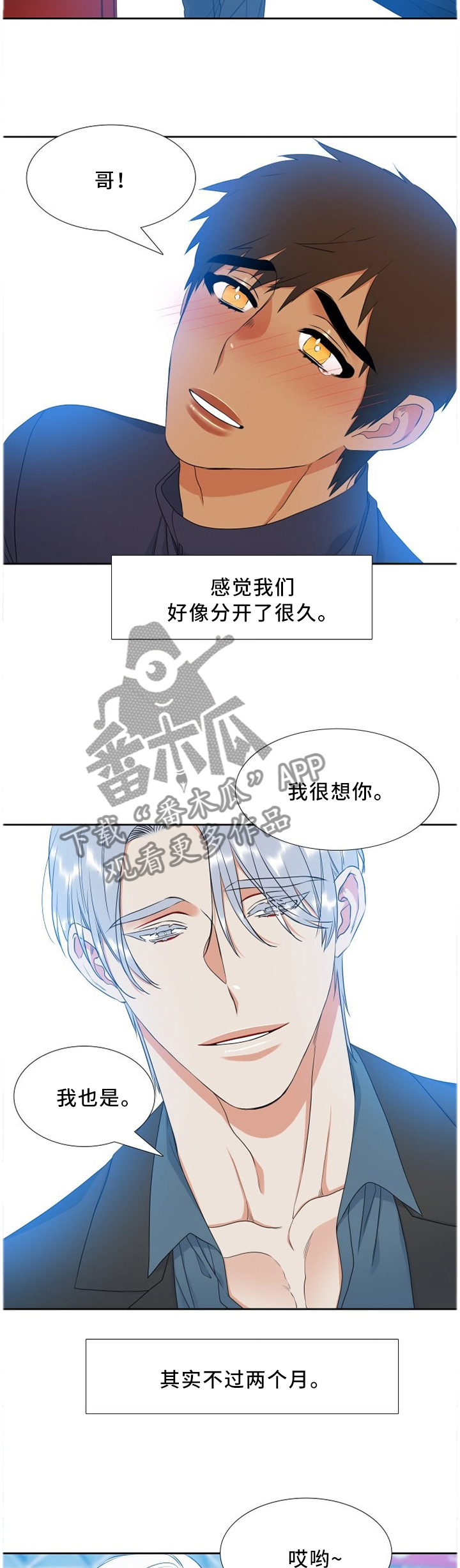 候鸟漫画,第203章：一切都没有变(第一季完结)4图