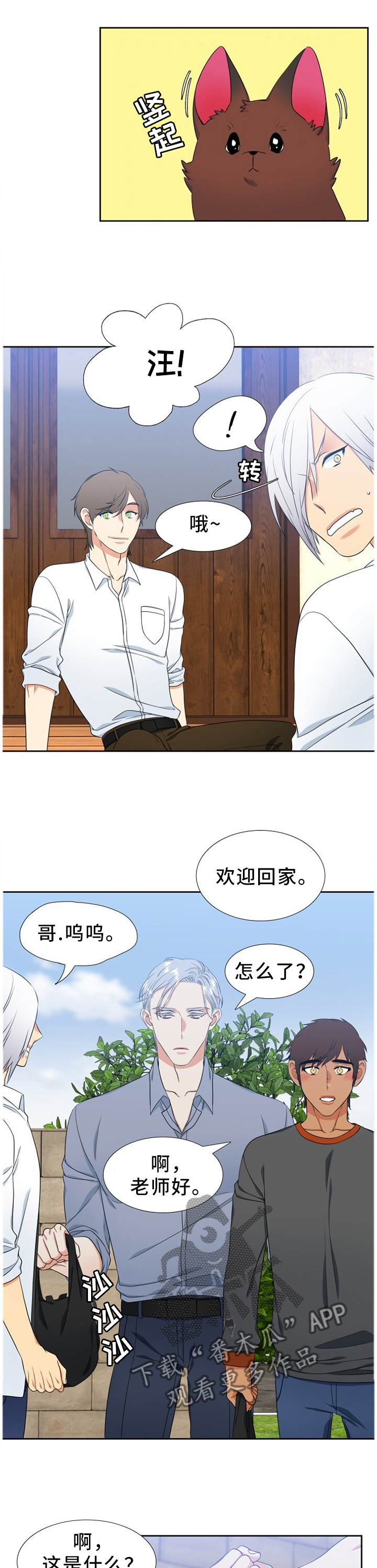 候鸟漫画,第232章：【第二季】我的幸福需要你1图