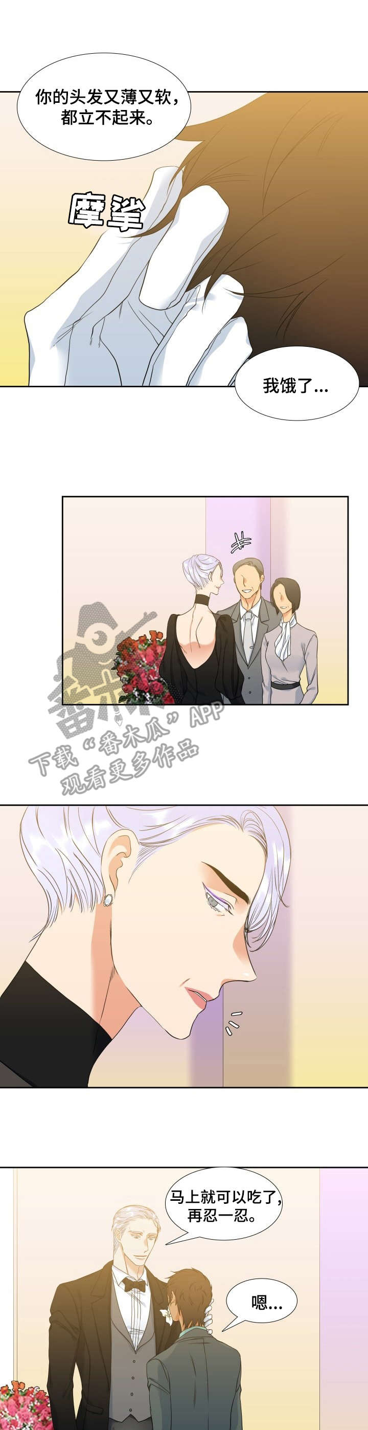候鸟漫画,第52章：婚礼3图