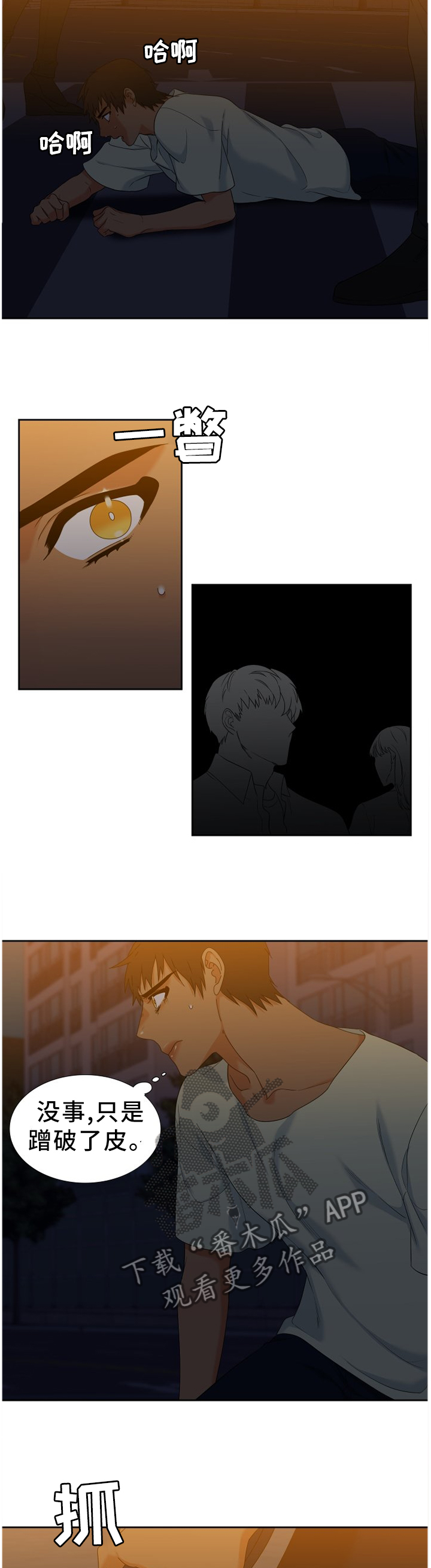 候鸟漫画,第272章：【第二季】不冷不热的温度2图