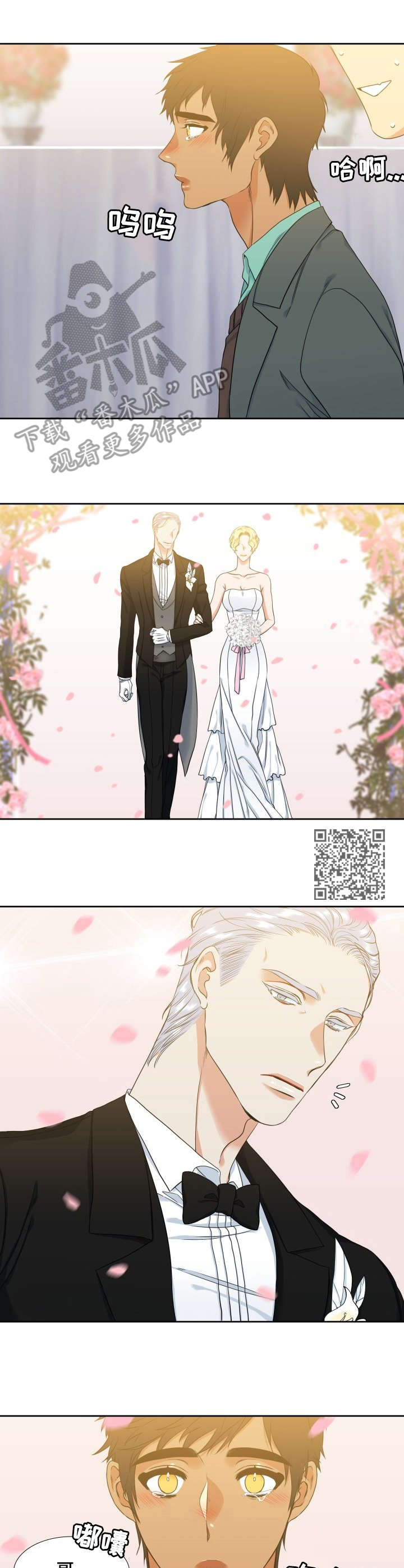 候鸟漫画,第53章：落泪1图