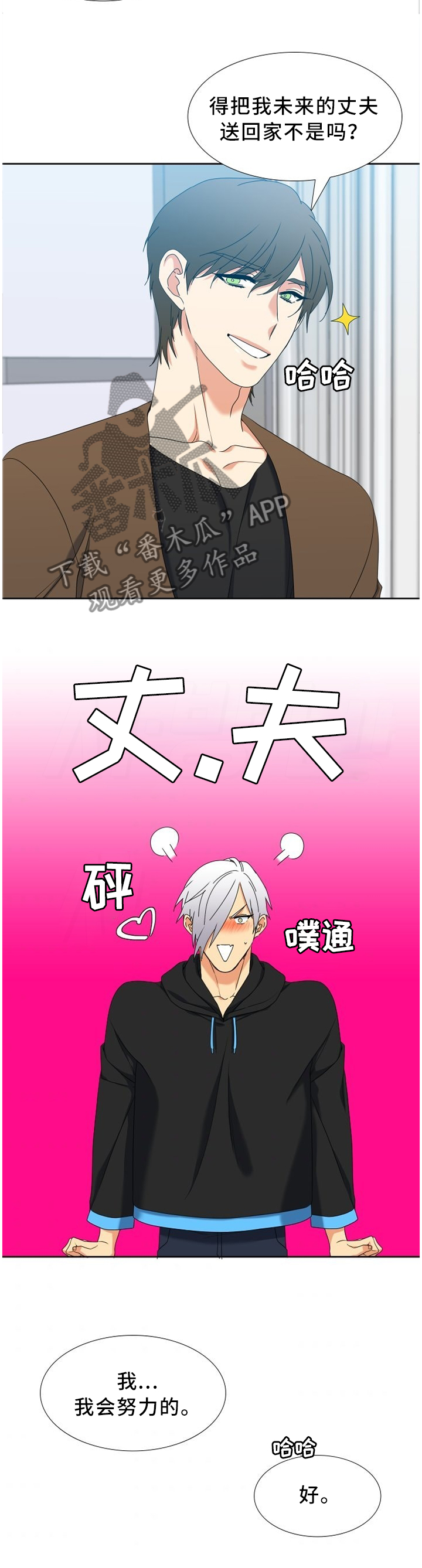 候鸟漫画,第254章：【第二季】未来想做什么3图