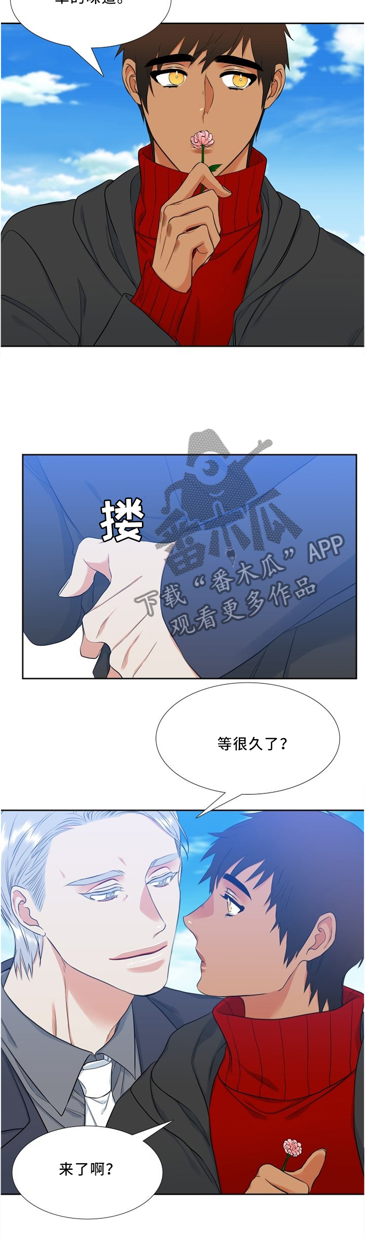 候鸟漫画,第119章：行动4图
