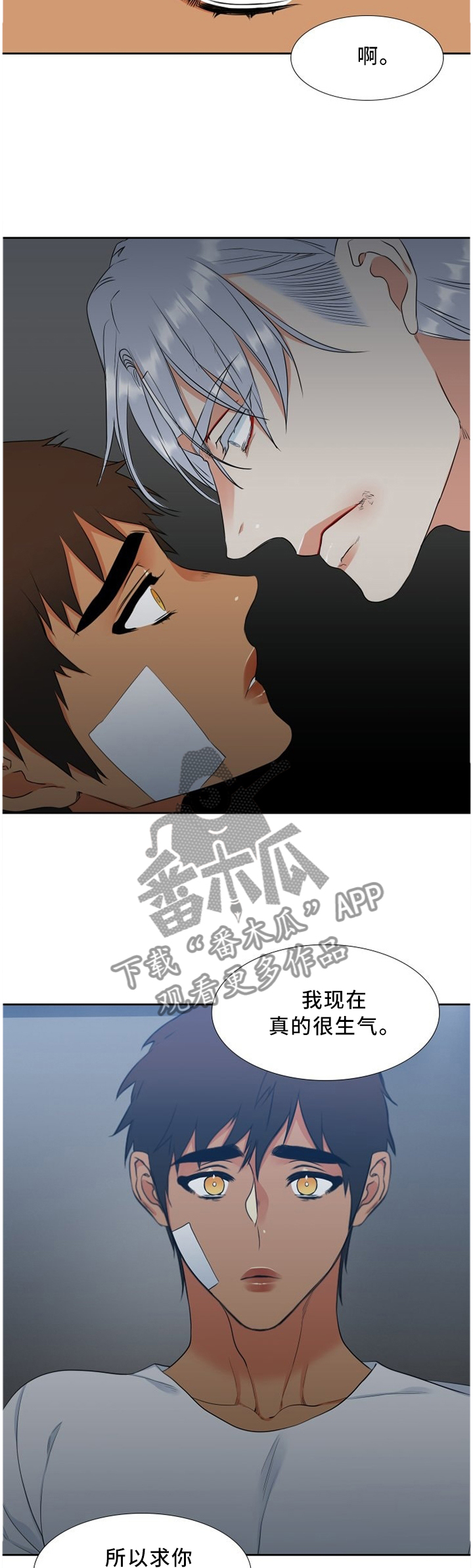 候鸟漫画,第157章：原谅我2图