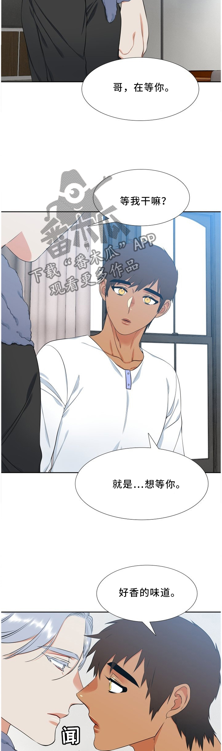 候鸟漫画,第167章：安宁2图