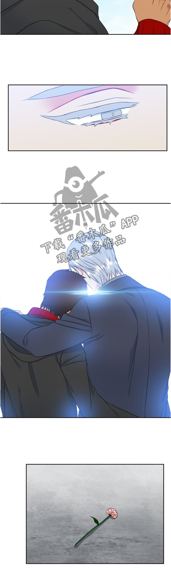 候鸟漫画,第119章：行动2图