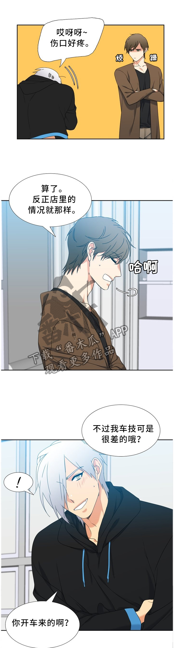 候鸟漫画,第254章：【第二季】未来想做什么2图
