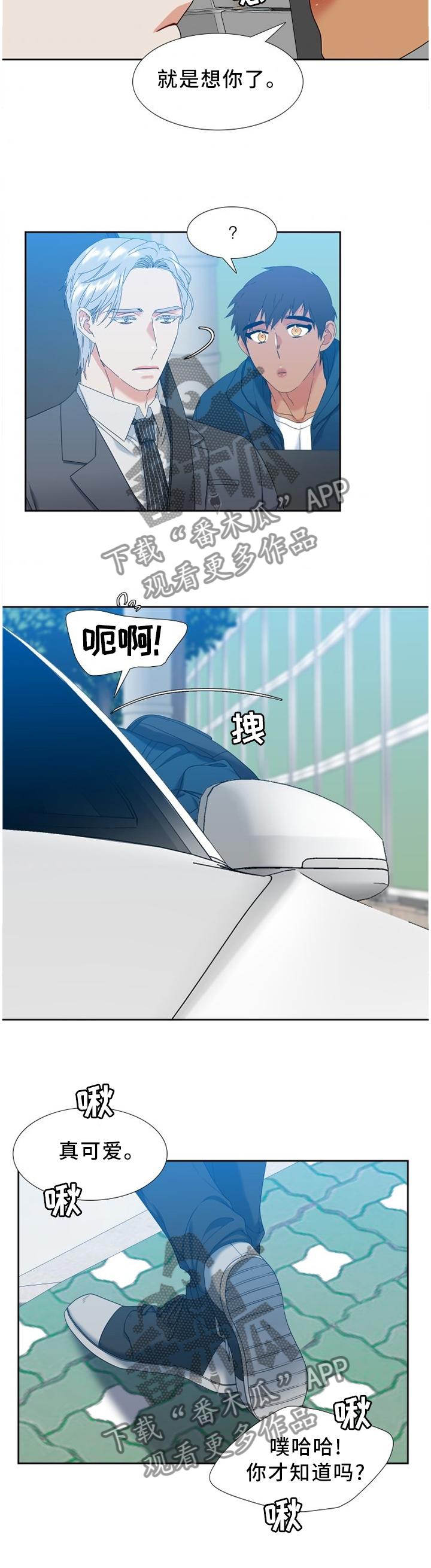 候鸟漫画,第261章：【第二季】泄露3图