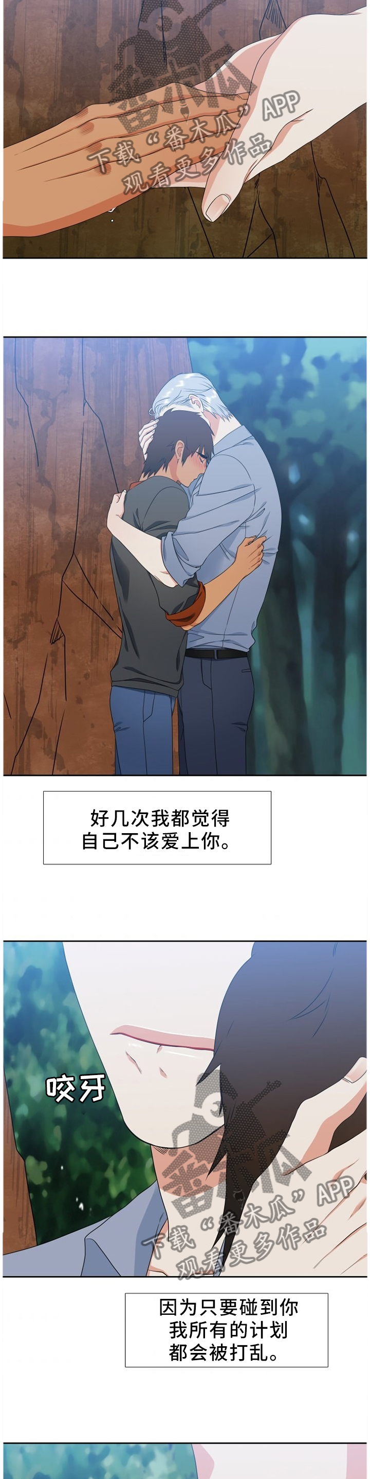 候鸟漫画,第231章：【第二季】我爱你2图
