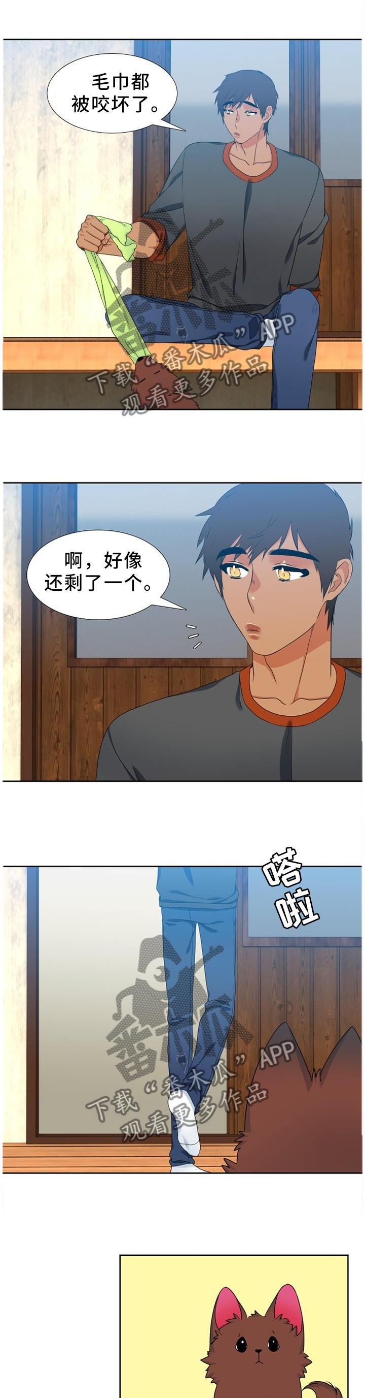 候鸟漫画,第227章：【第二季】发现5图