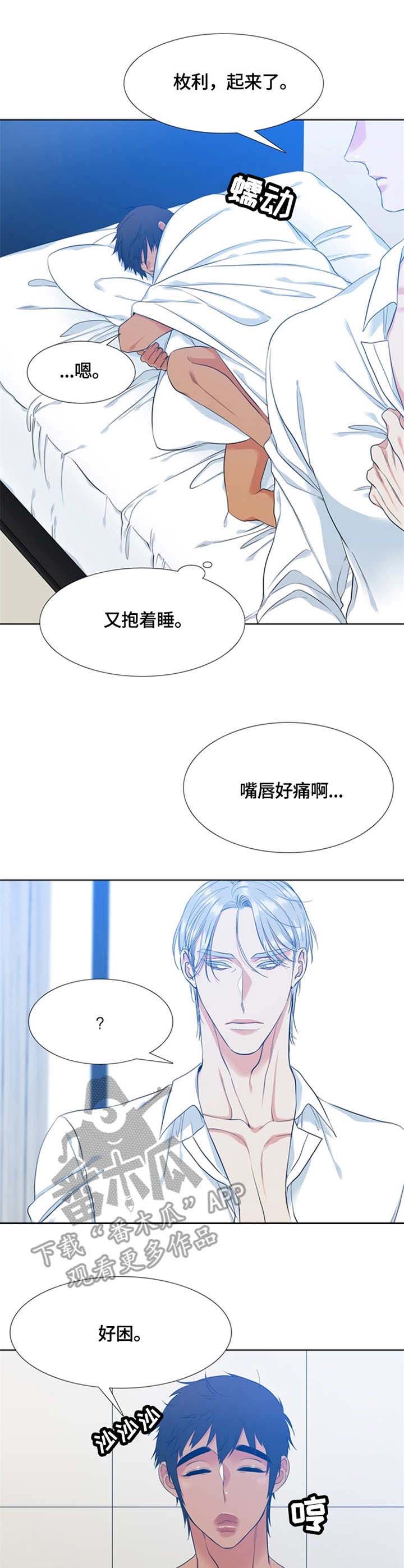 候鸟漫画,第18章：肿了3图