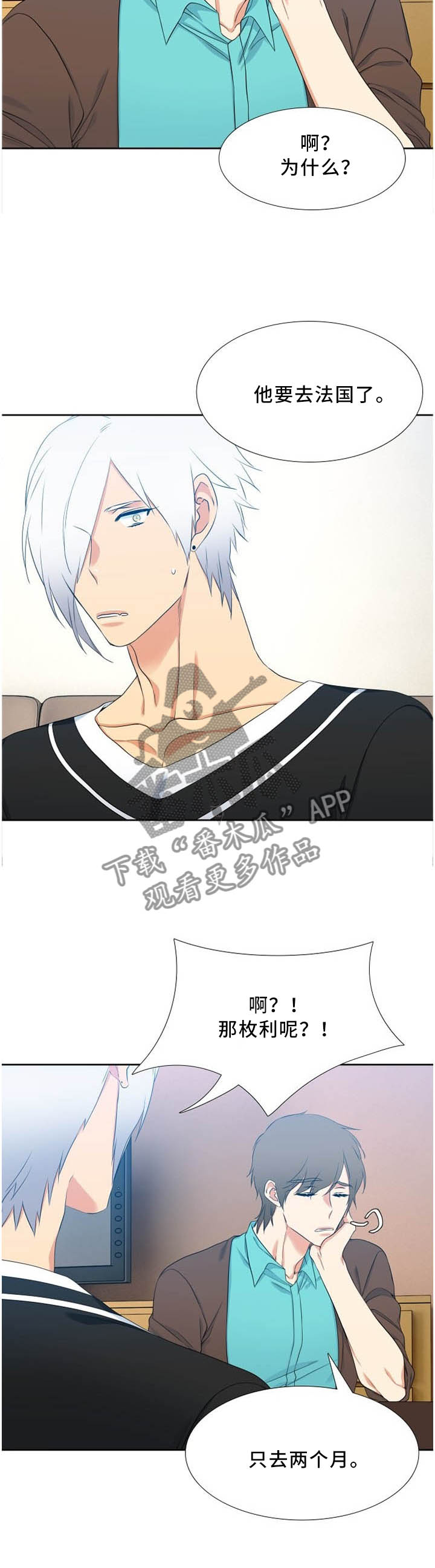 候鸟漫画,第178章：保护期1图