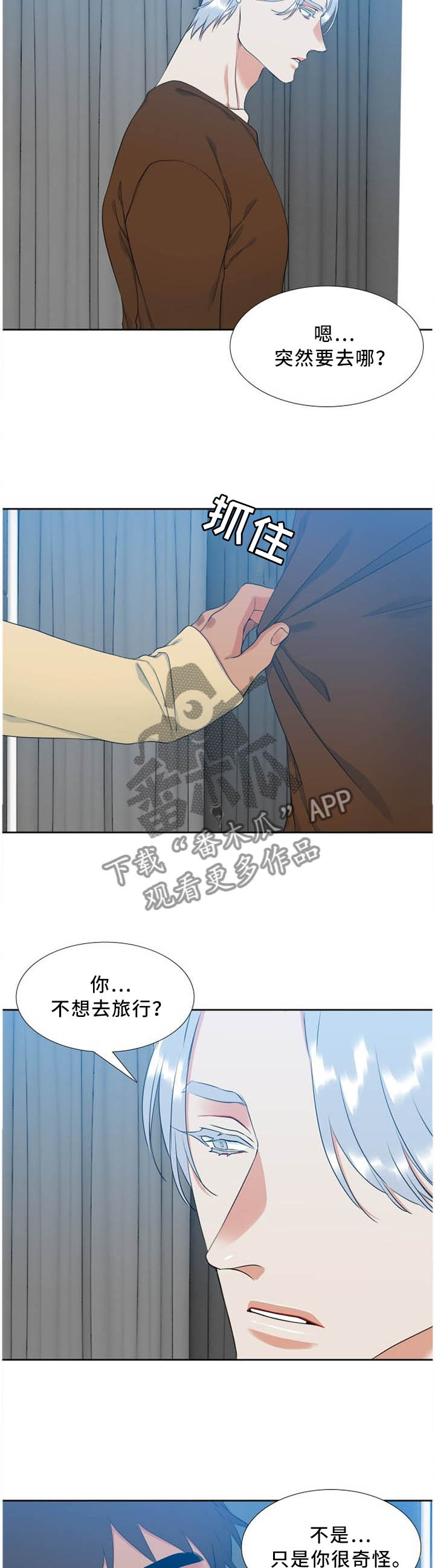 候鸟漫画,第178章：保护期2图