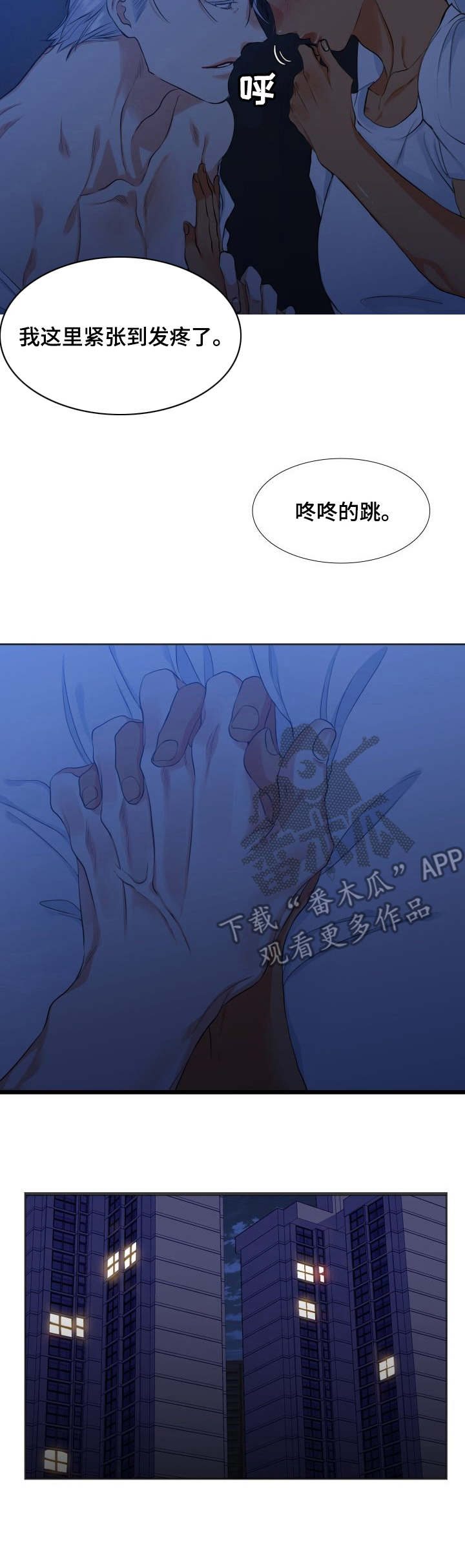 候鸟漫画,第36章：不会后悔1图