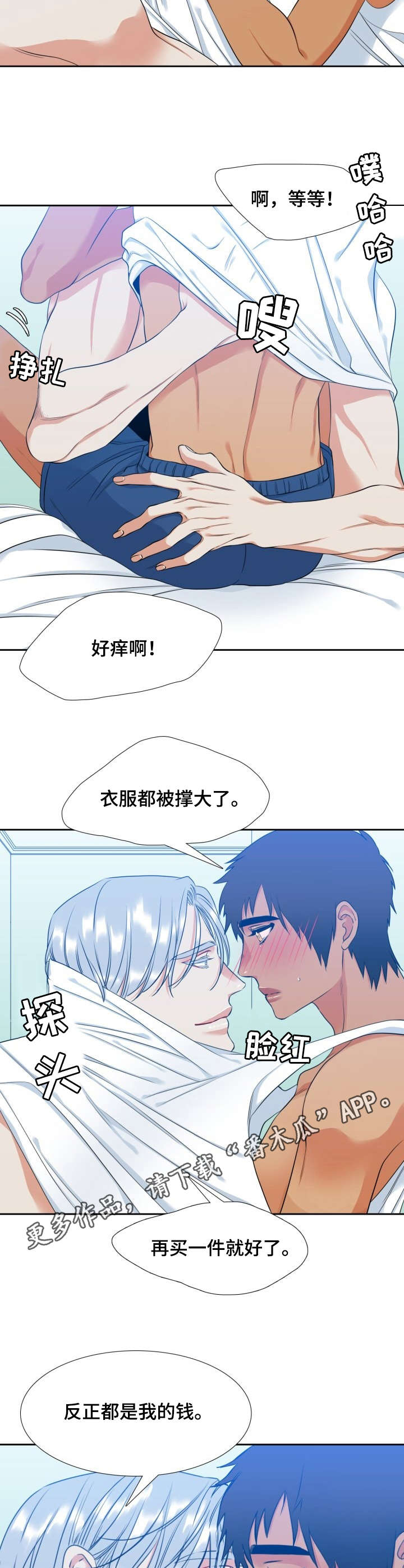 候鸟漫画,第59章：照片2图