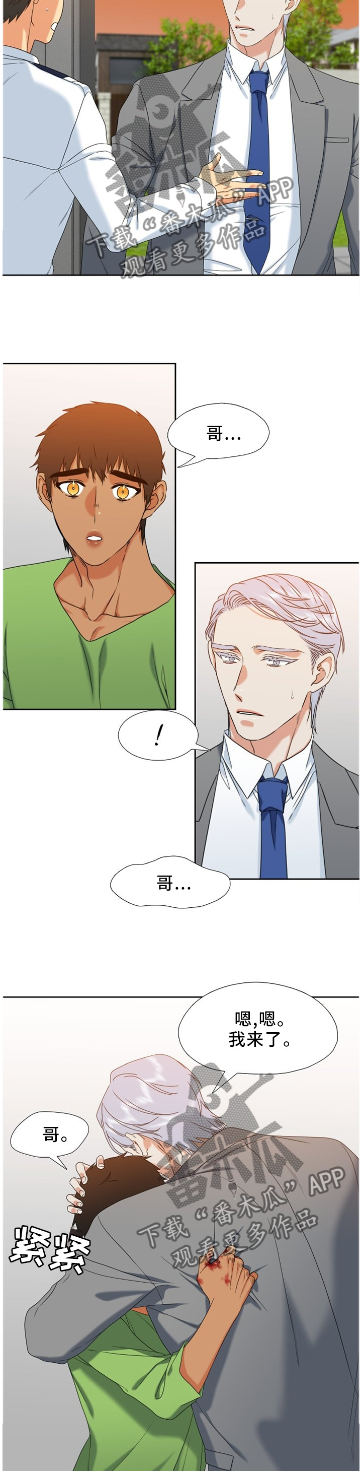 候鸟漫画,第249章：【第二季】害怕1图