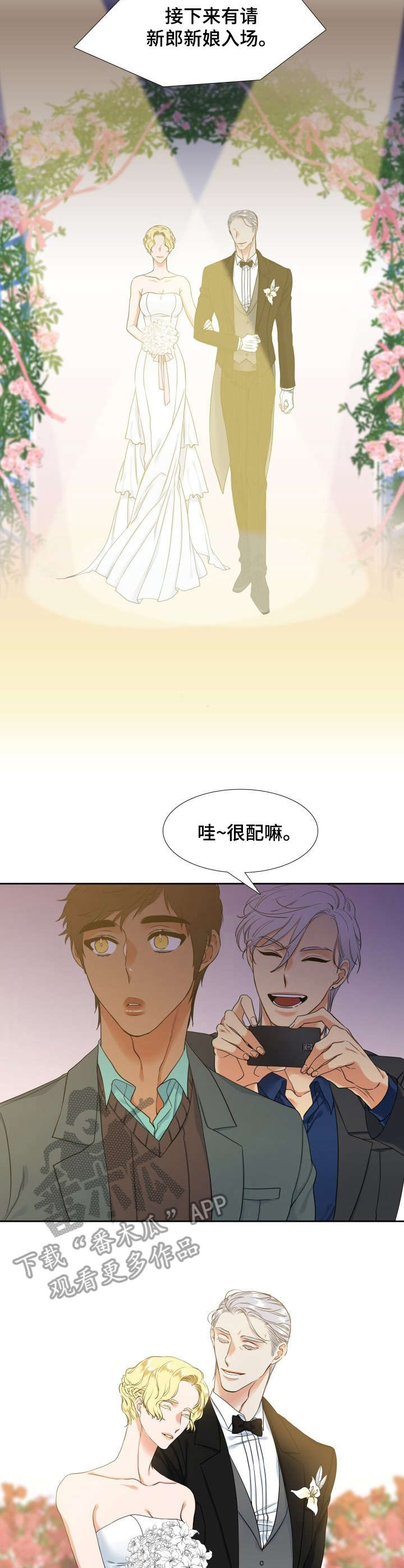 候鸟漫画,第52章：婚礼3图