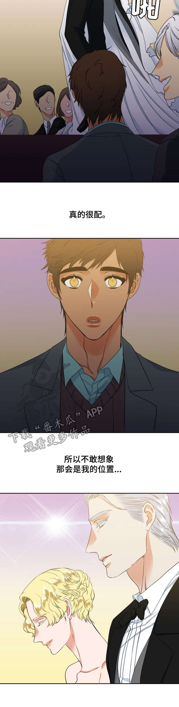 候鸟漫画,第52章：婚礼5图