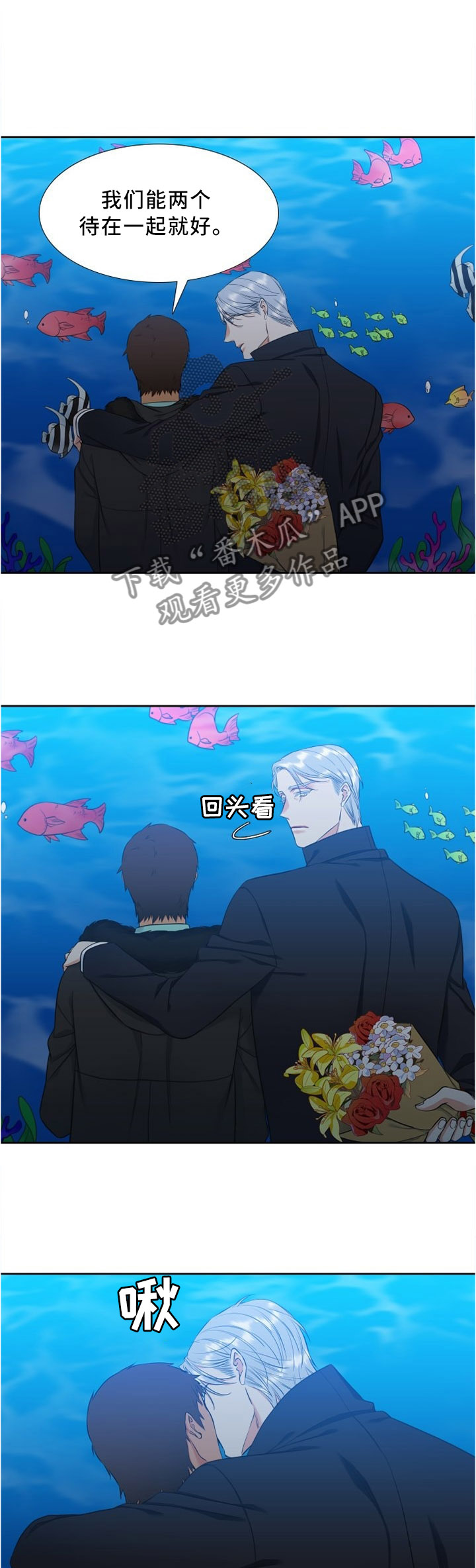 候鸟漫画,第127章：生日快乐3图