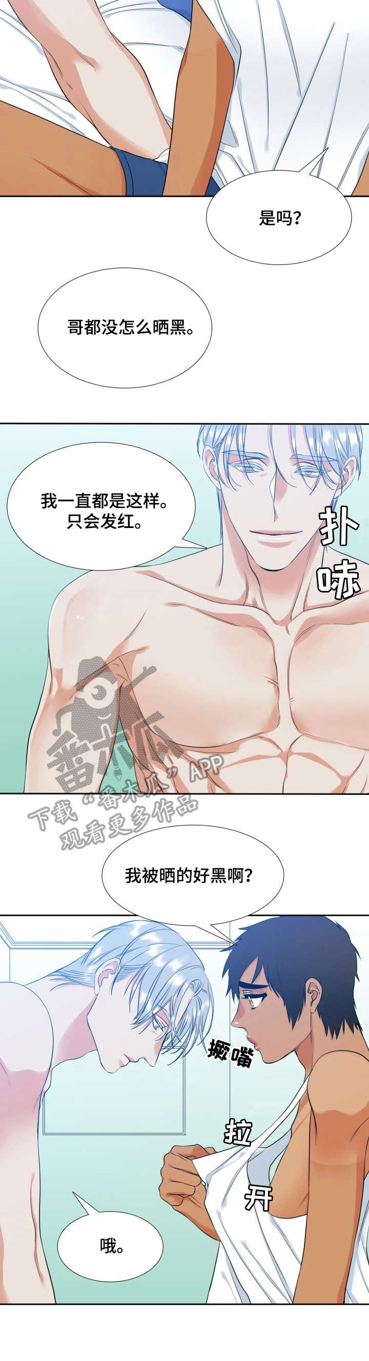 候鸟漫画,第59章：照片5图