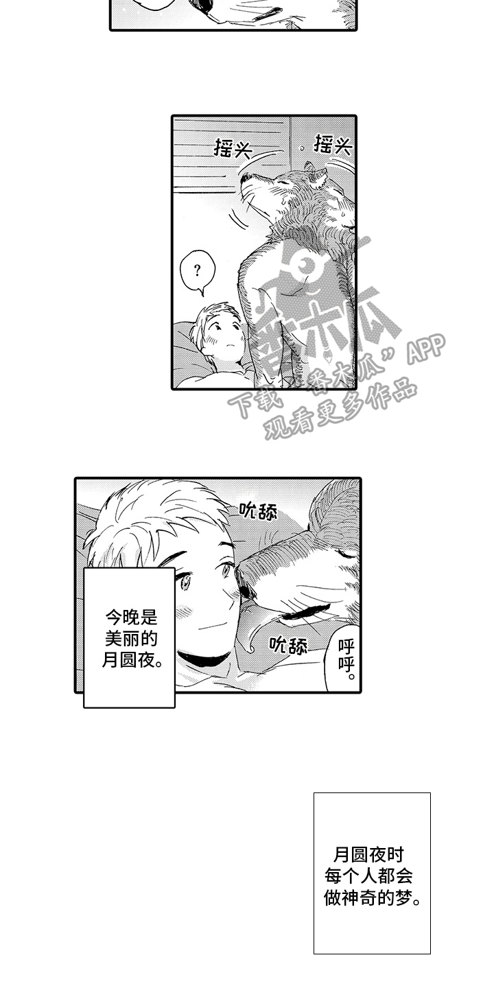 春野与狼独舞漫画,第10章：月圆美梦【完结】5图