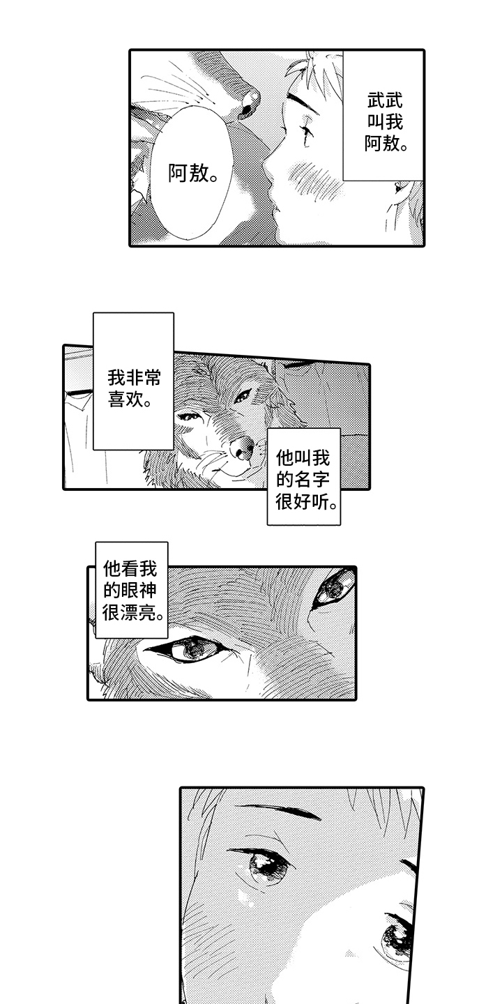 春野与狼独舞漫画,第3章：喜欢5图