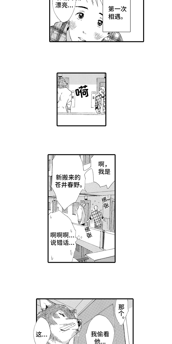 春野与狼独舞漫画,第1章：疲惫2图