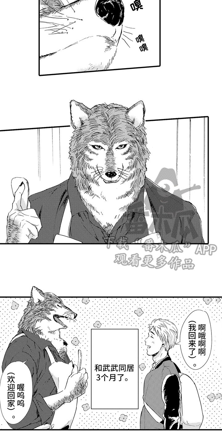春野与狼独舞漫画,第4章：同居5图