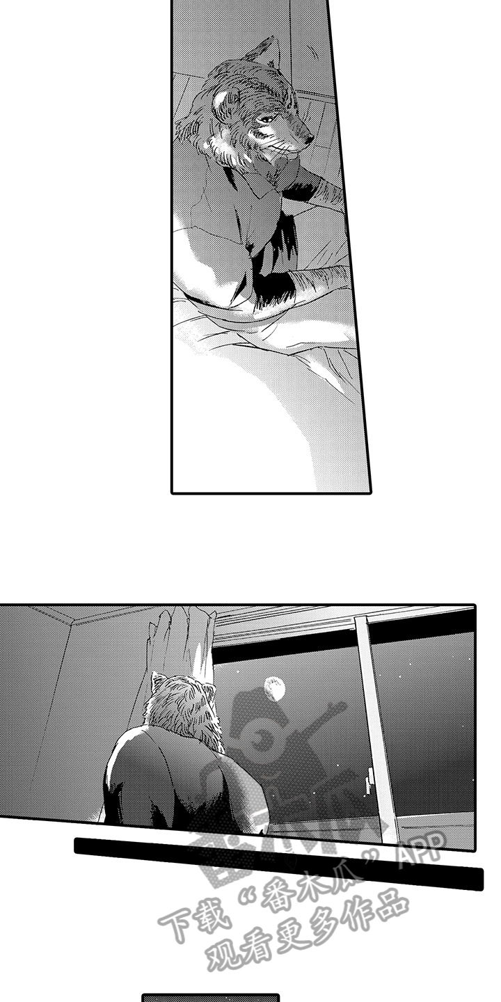 春野与狼独舞漫画,第5章：评价3图