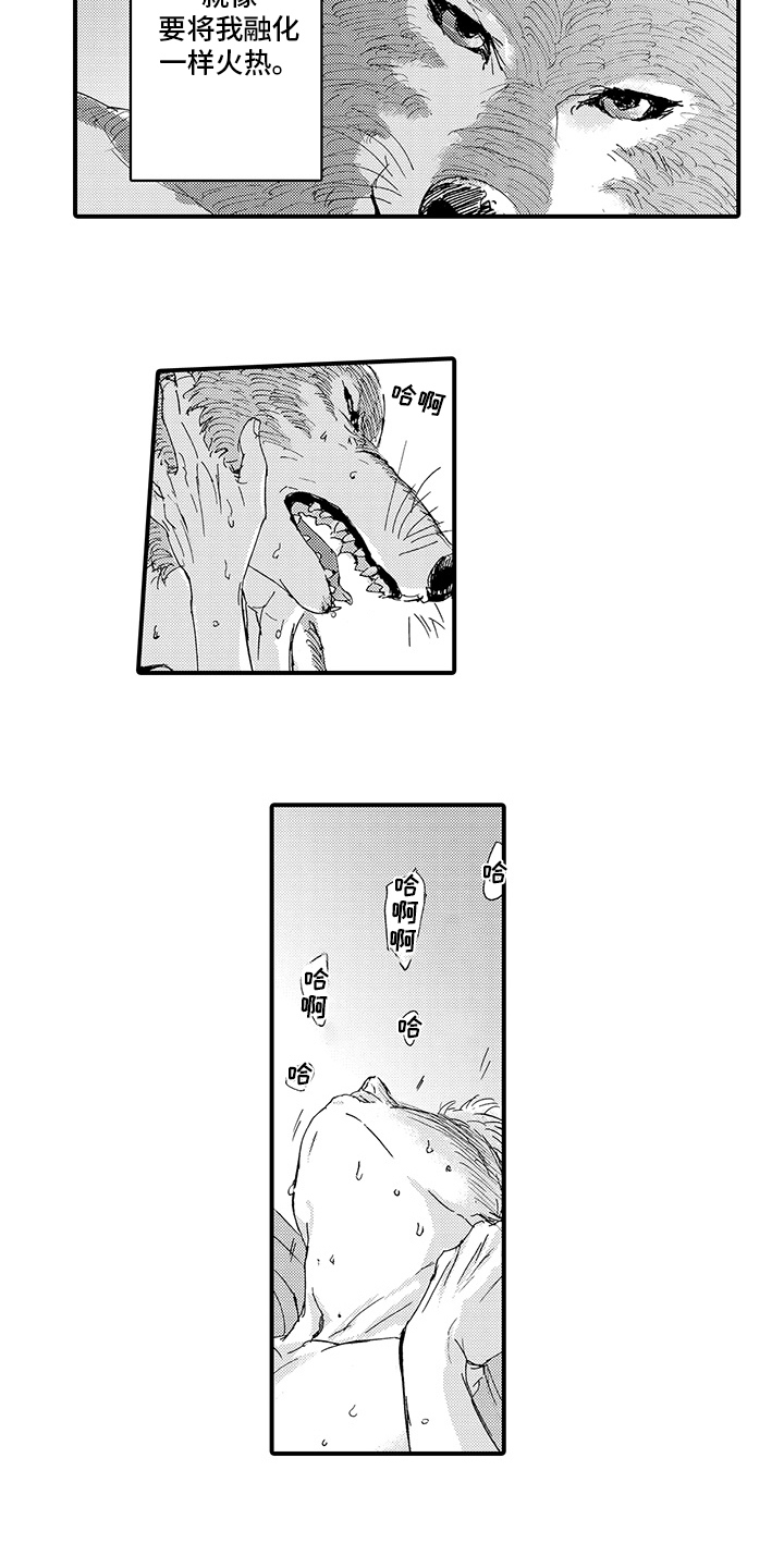 春野与狼独舞漫画,第10章：月圆美梦【完结】1图