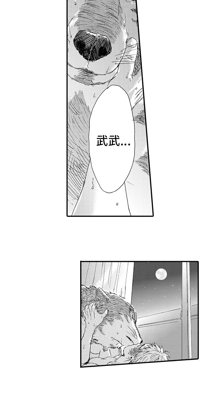 春野与狼独舞漫画,第8章：期待2图