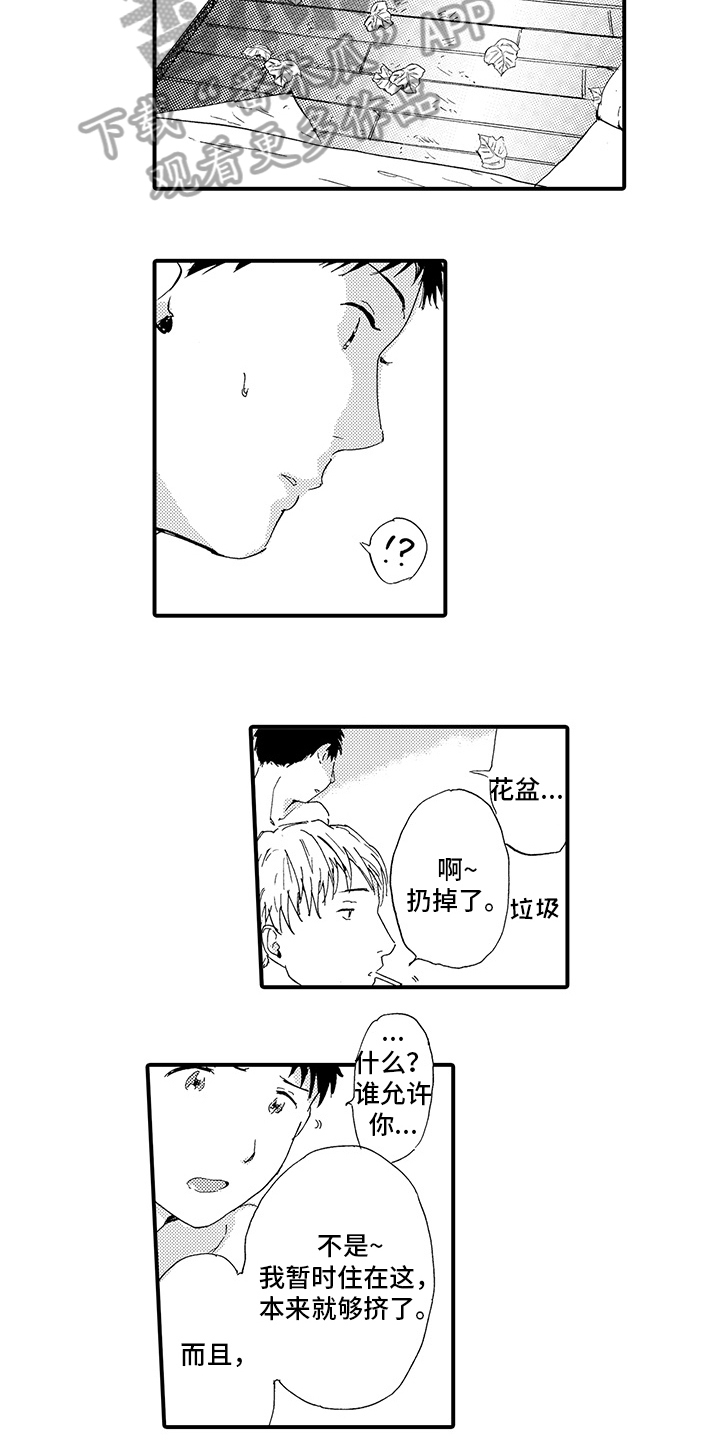 春野与狼独舞漫画,第24章：【番外】决定（完结）2图