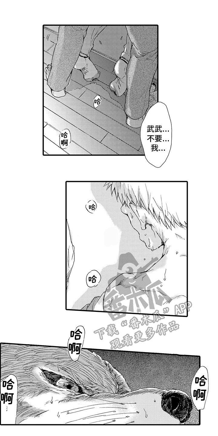 春野与狼独舞漫画,第7章：发作4图
