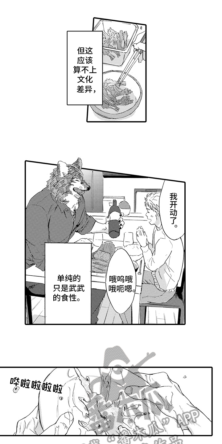 春野与狼独舞漫画,第4章：同居4图