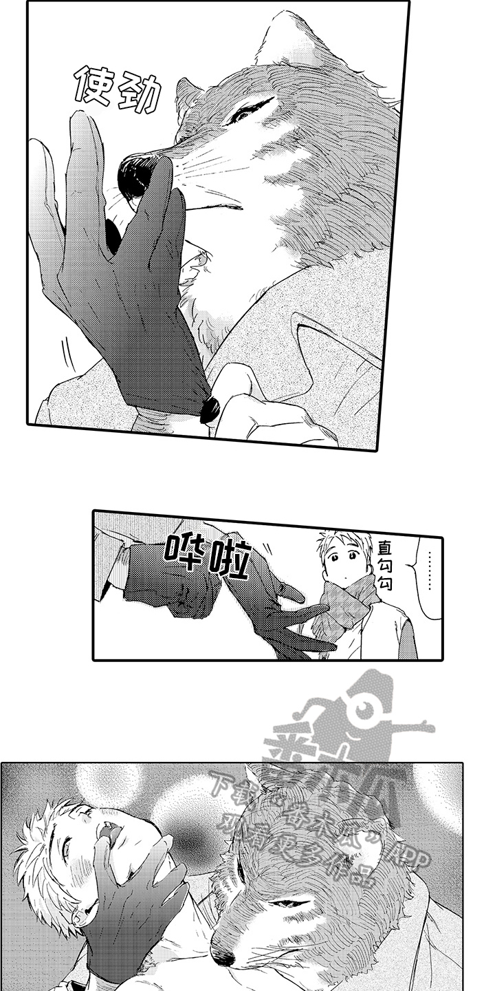 春野与狼独舞漫画,第10章：月圆美梦【完结】2图