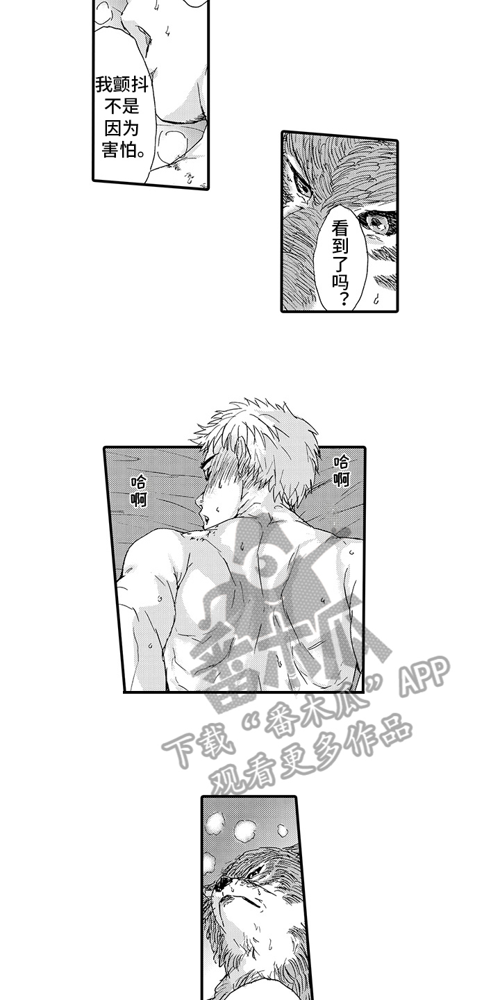 春野与狼独舞漫画,第8章：期待4图