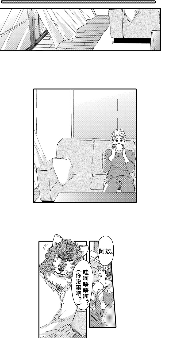 春野与狼独舞漫画,第8章：期待3图